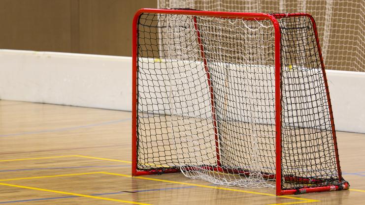 Tore aus rot-schwarzem Netz stehen auf einem Hallenboden mit farbigen Markierungen für den Spielbereich.